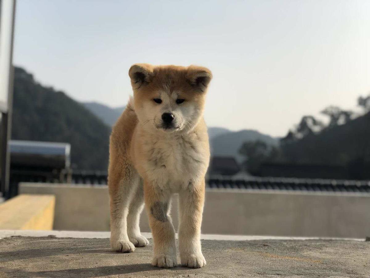 Hangzhou Sansu Hotel Eksteriør bilde